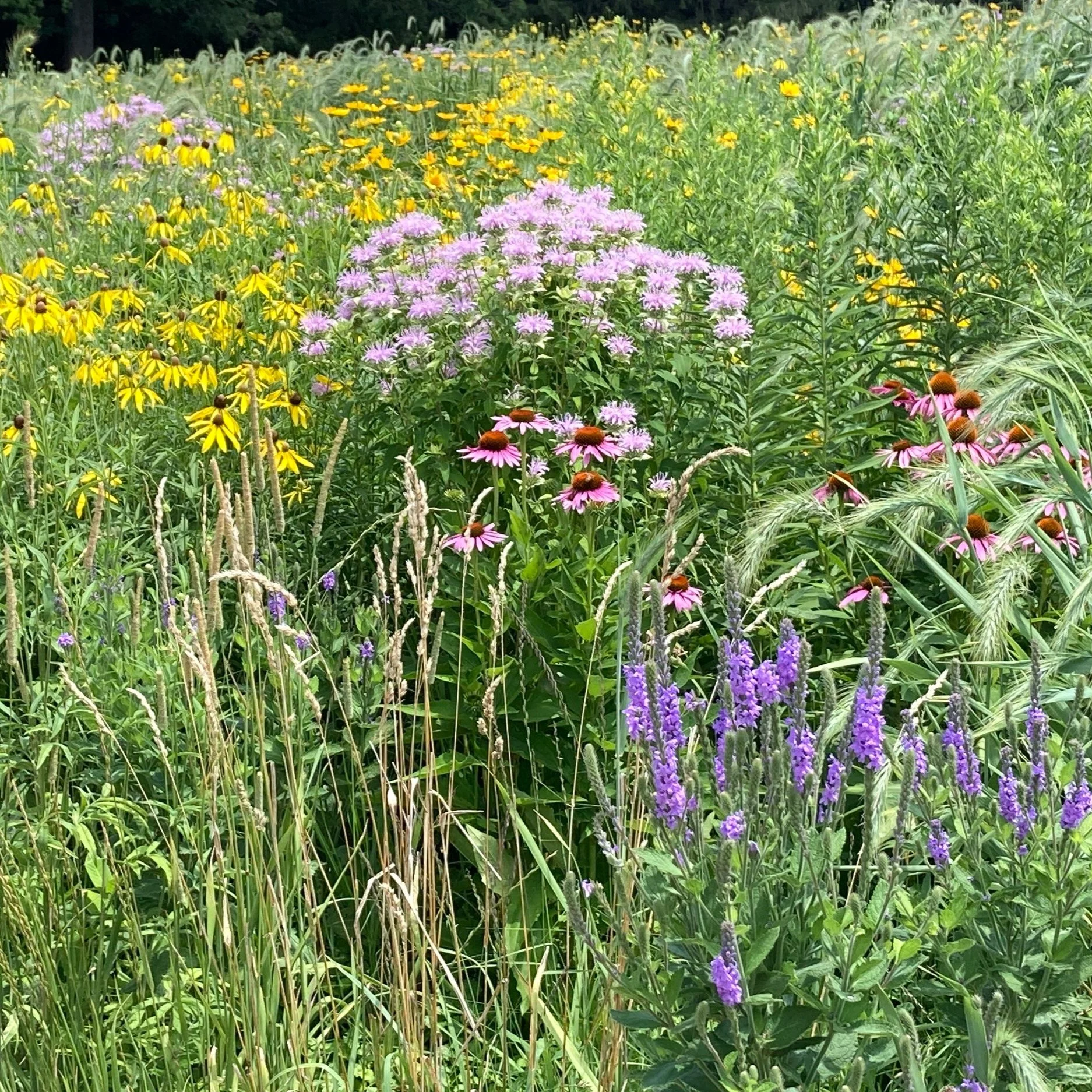 Landscaping Button.jpg