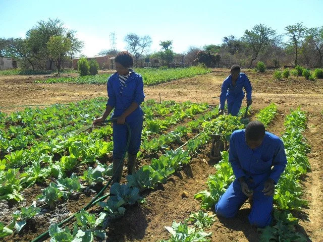 permeculture by Vanavhevu.jpg