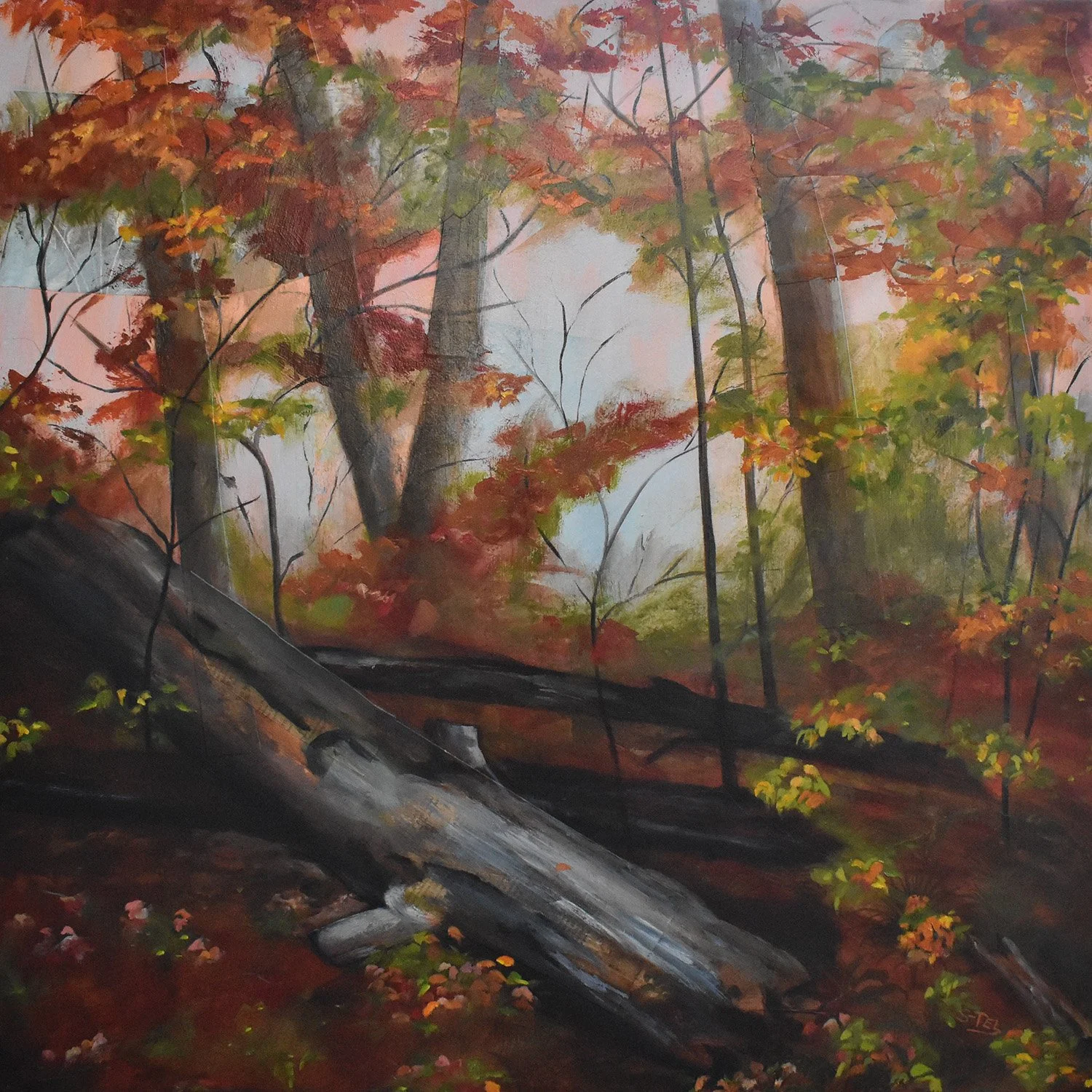 CAT_OR00113_Sous-bois_carré.jpg