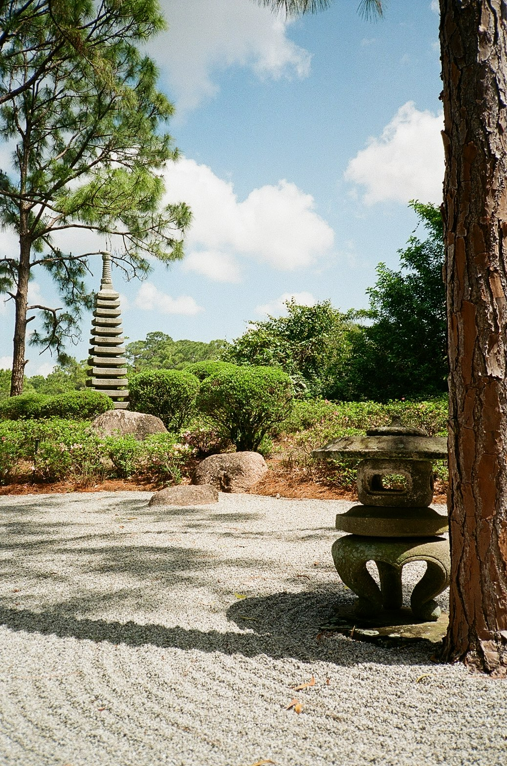 Photo taken on 35mm film camera