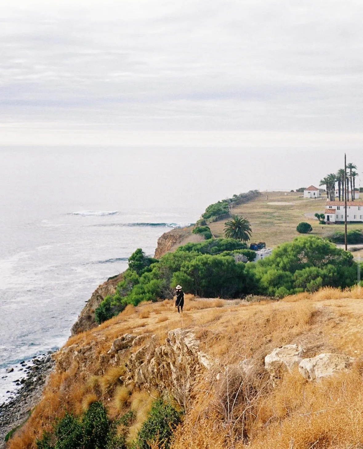 Photo taken on 35mm film camera