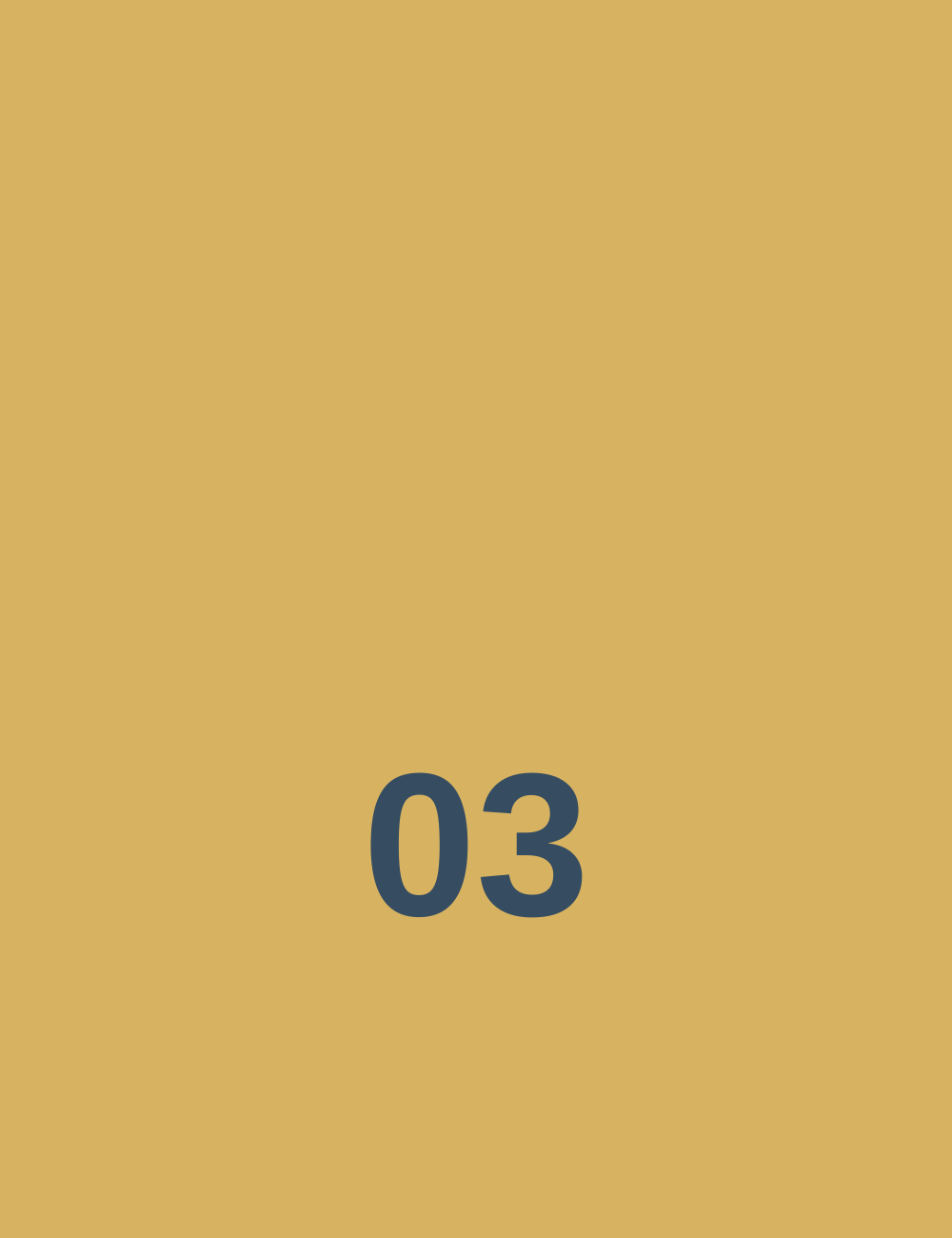 A vertical beige-colored background with the number '03' centered in dark blue font.