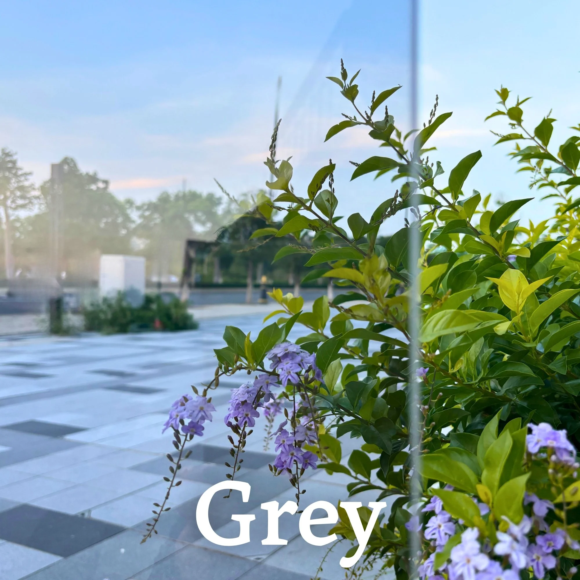 MIDC Grey Glass Options Web.jpg