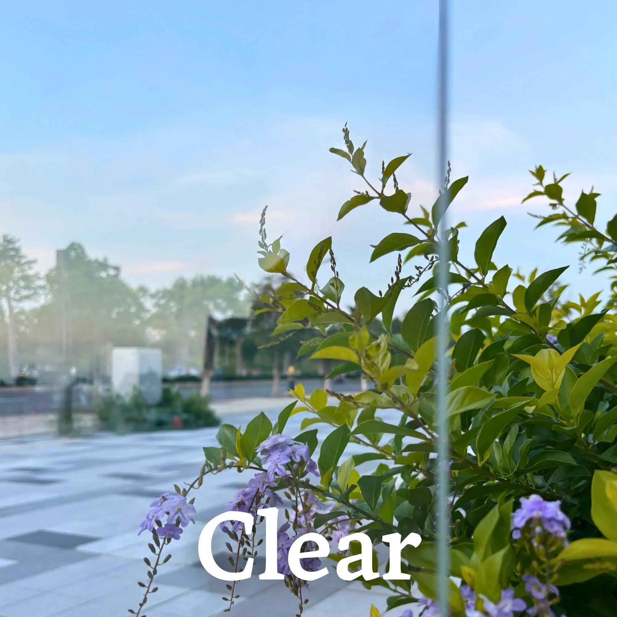 MIDC Clear Glass Options Web.jpg