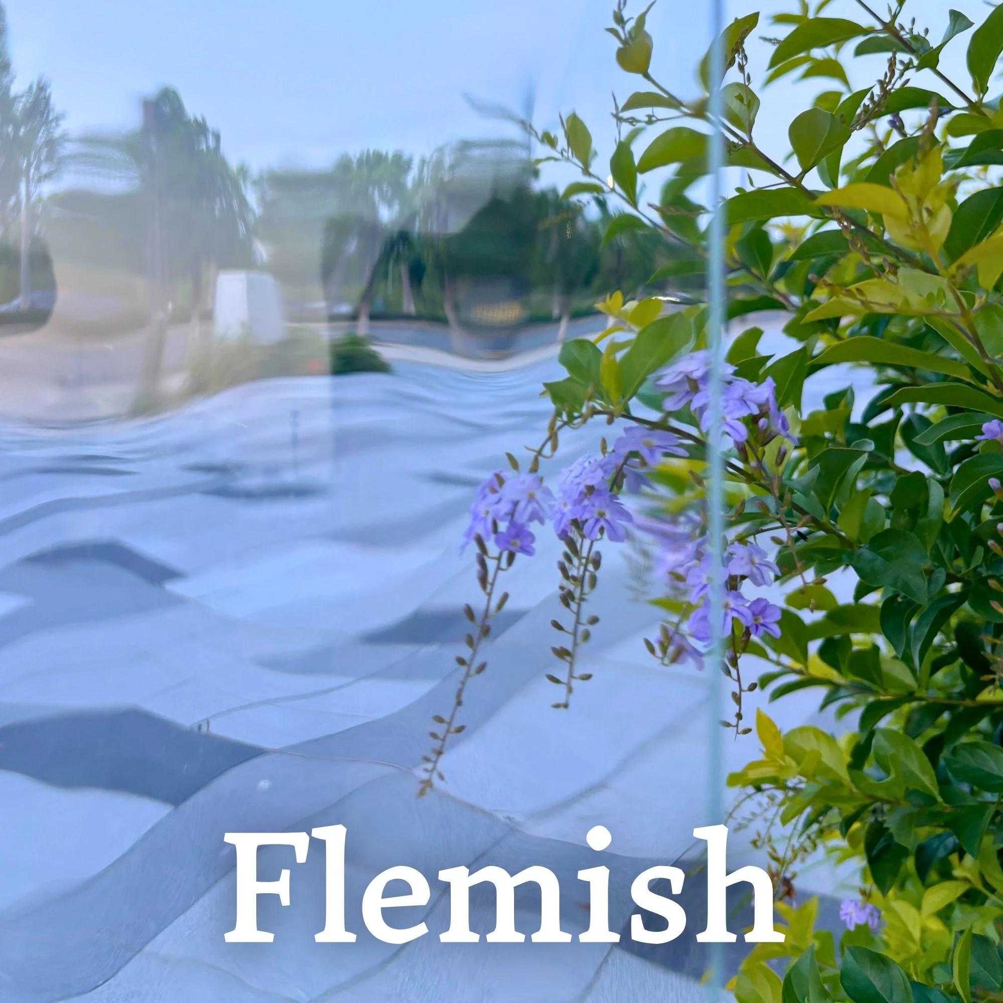 MIDC Flemish Glass Options Web.jpg
