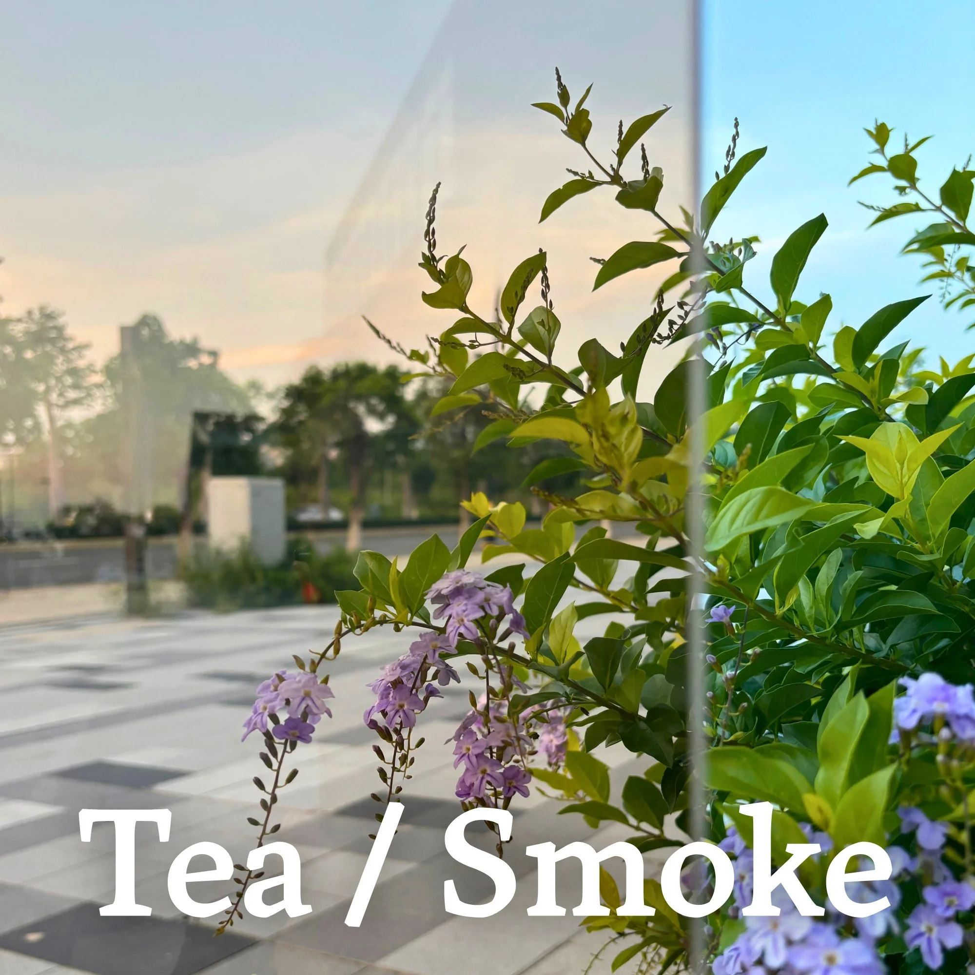 MIDC Tea  Smoke Glass Options Web.jpg