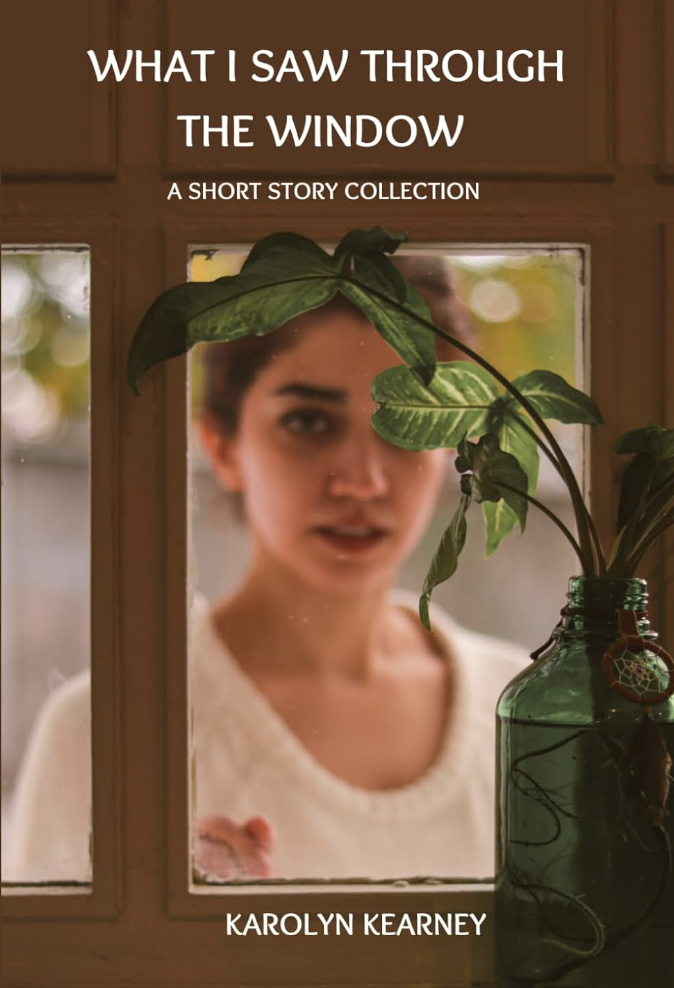 What I Saw Through the Window: Stories from Shady Terrace Cover