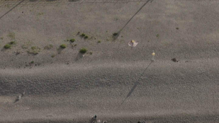 Alan Scott-McCarthy - GFX Reel R2.gif