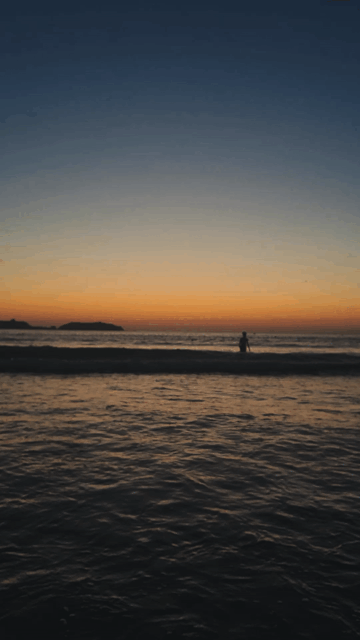 thumper 1_v4_00145201.gif