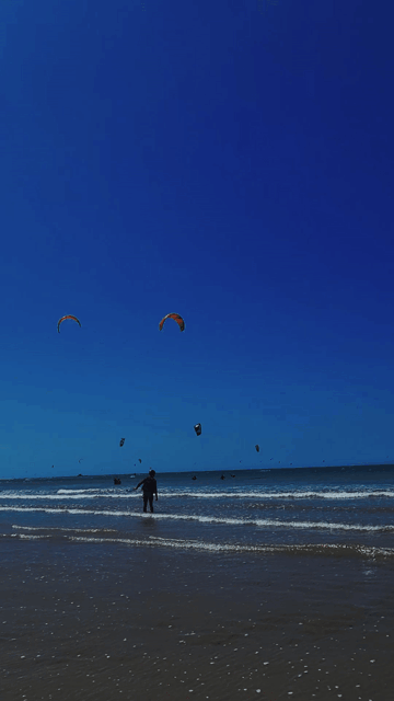 thumper 1_v4_00147411.gif