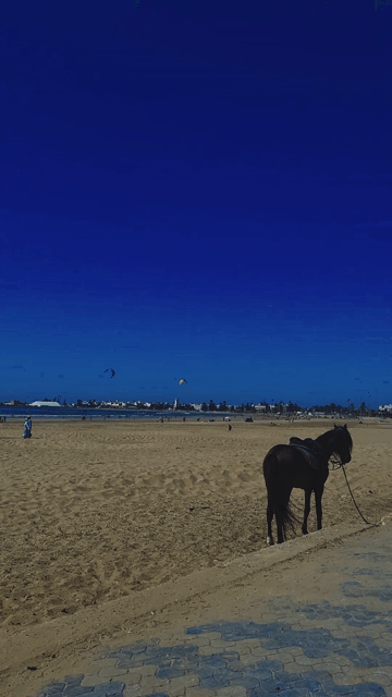 thumper 1_v4_00144841.gif