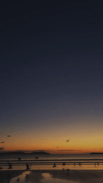 thumper 1_v4_00148627.gif