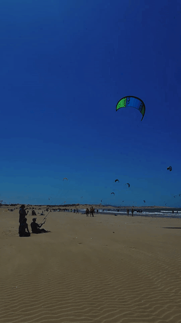 thumper 1_v4_00147872.gif