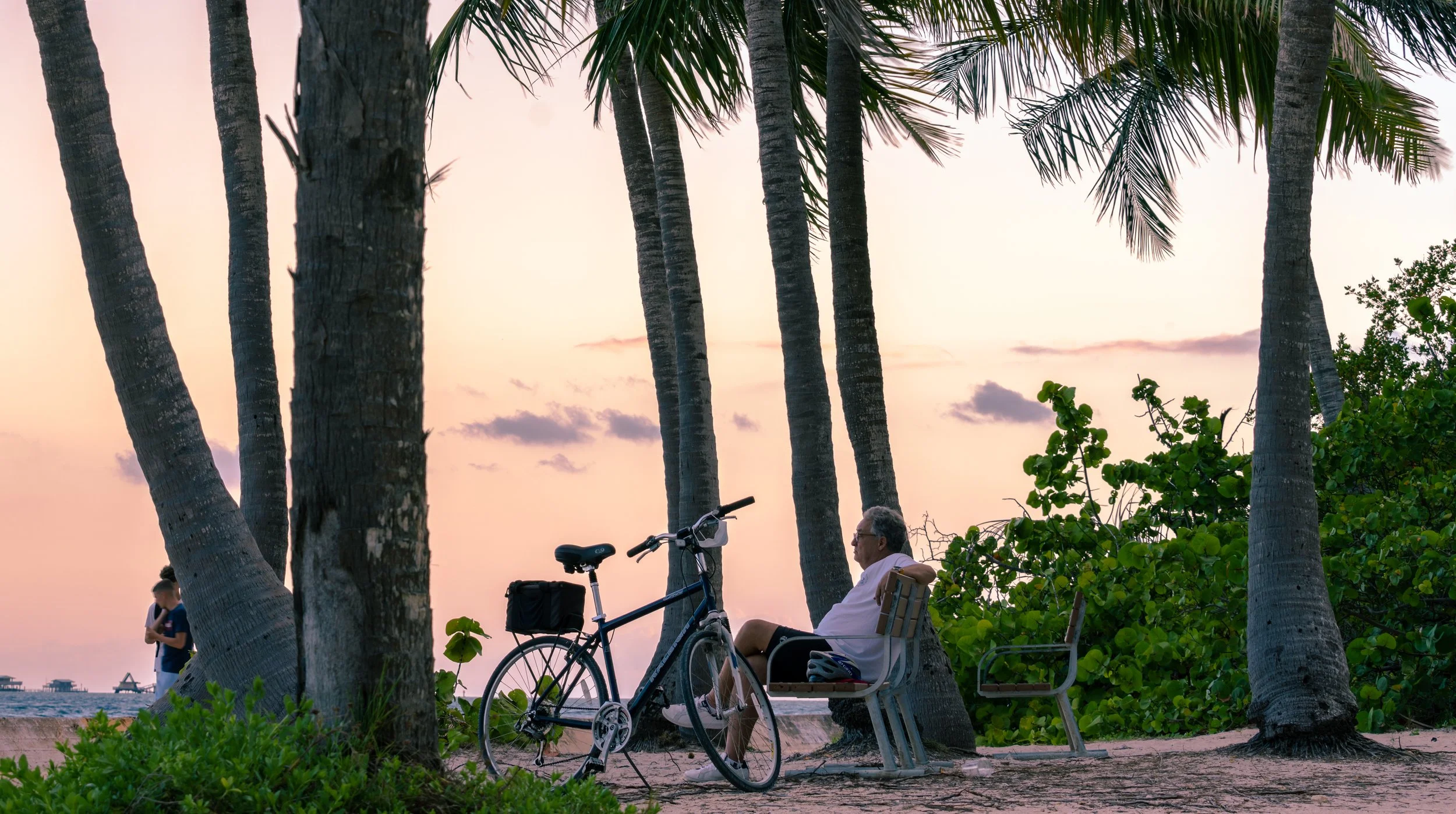 Golden Stillness: Biscayne Bay Sunset Beneath the Palms