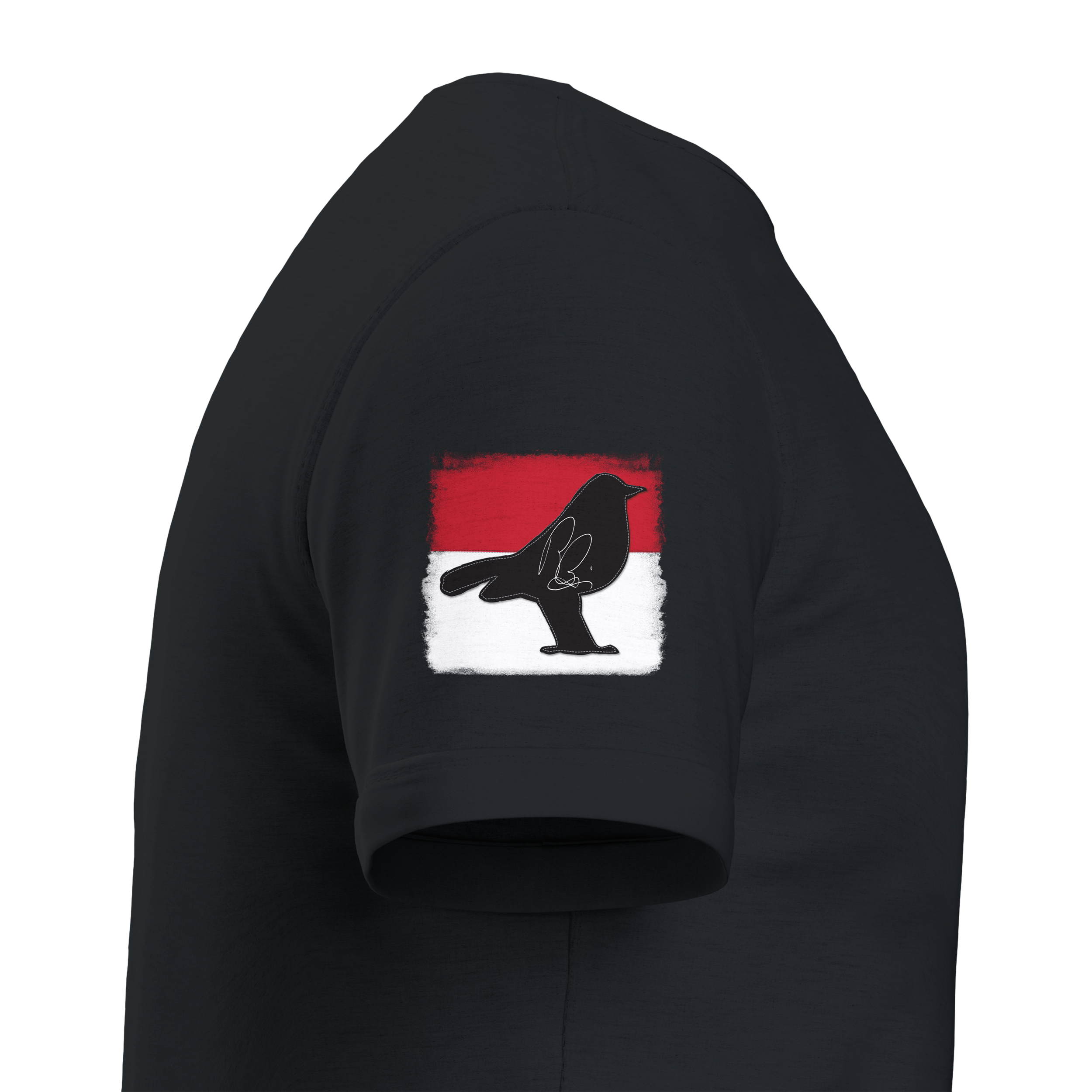 SR_BarryBriggs_Tee_Black_sleeve-right.png