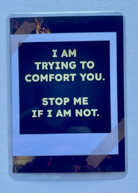 PTSD trying to comfort you.jpeg