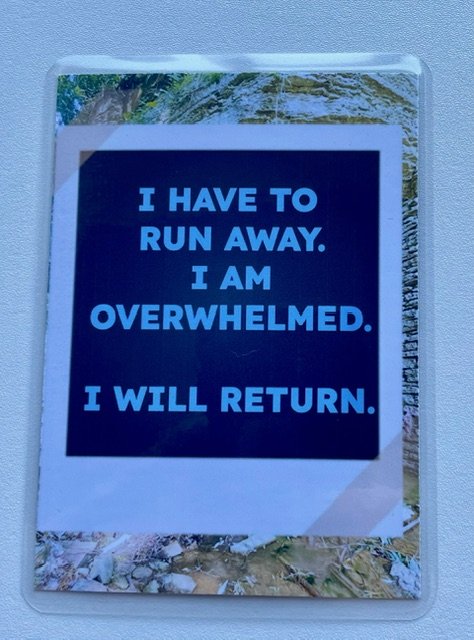 PTSD runaway overwhelmed.jpeg