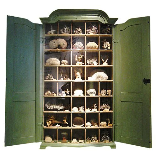 An early eighteenth-century German Schrank with a traditional display of corals (Naturkundenmuseum, Berlin)