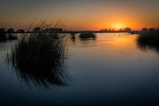 bayou.jpg