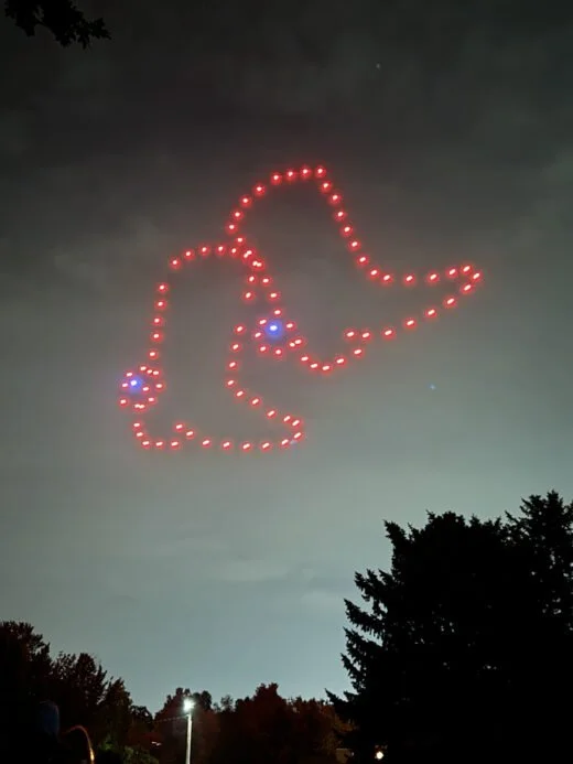 drone-show-IMG_2208-520x693.jpg