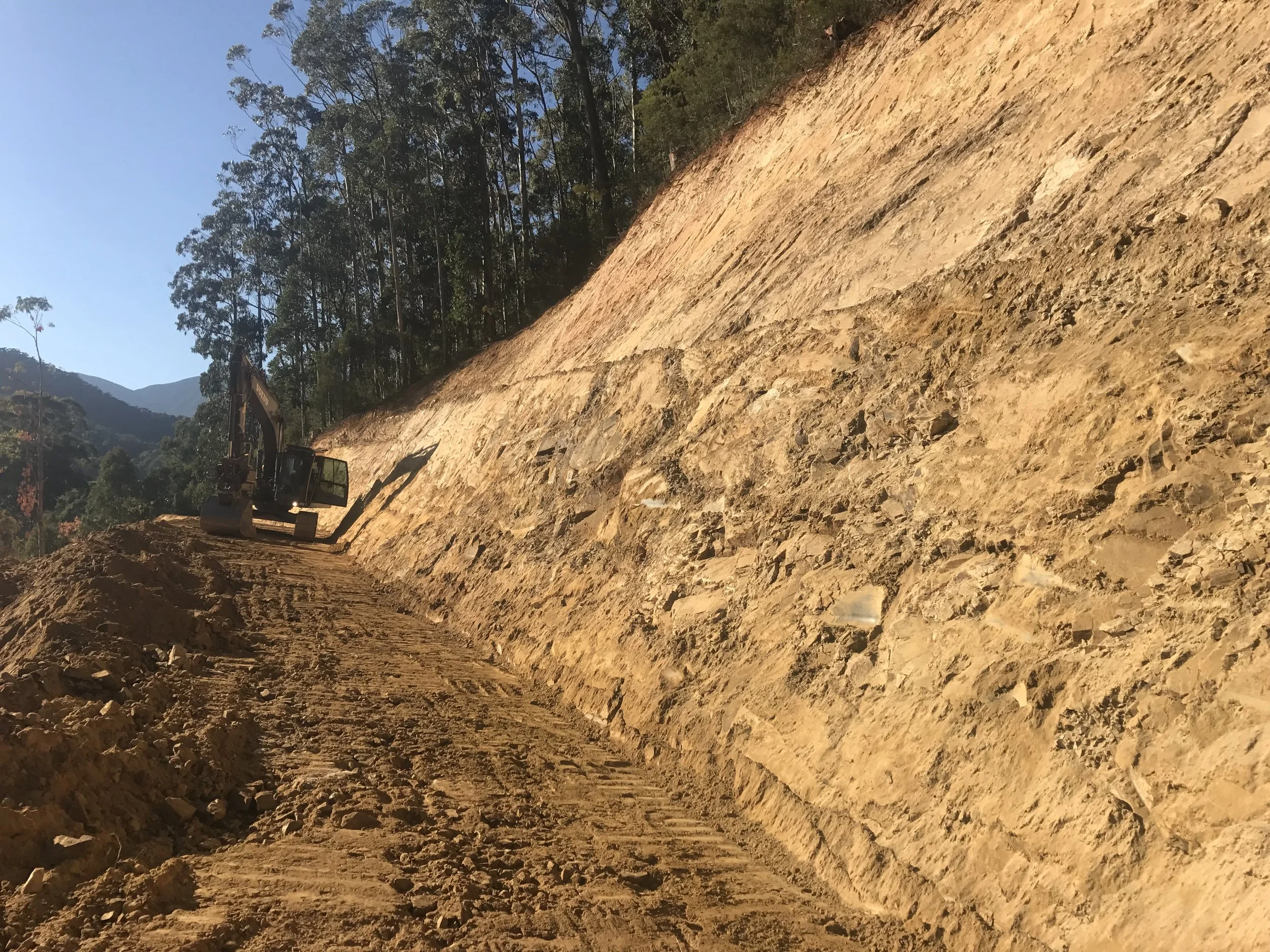 Landslide remediation.JPG