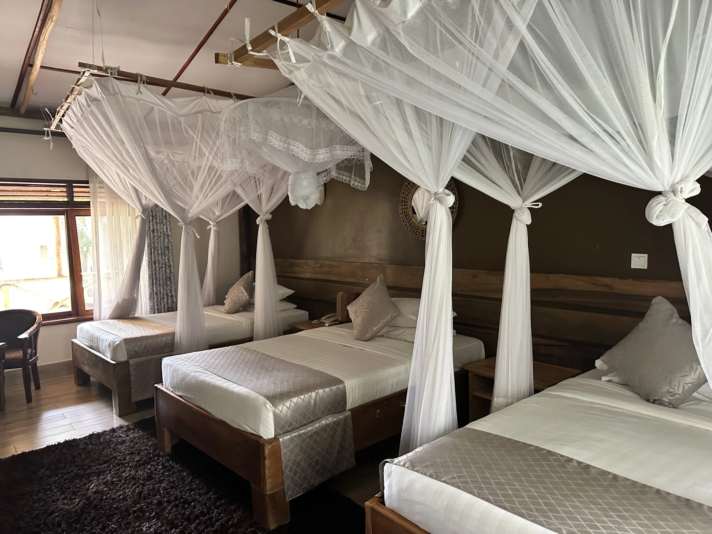 Accomodation at Ugandan lodge in Murchison Falls National Park for African safari