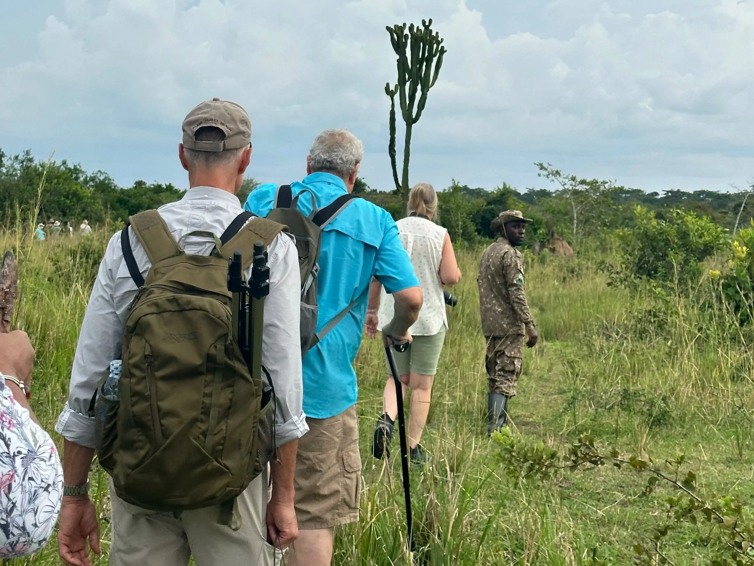 Rhino trekking at Ziwa Rhino Sanctuary in Uganda to see endangered wildlife up close
