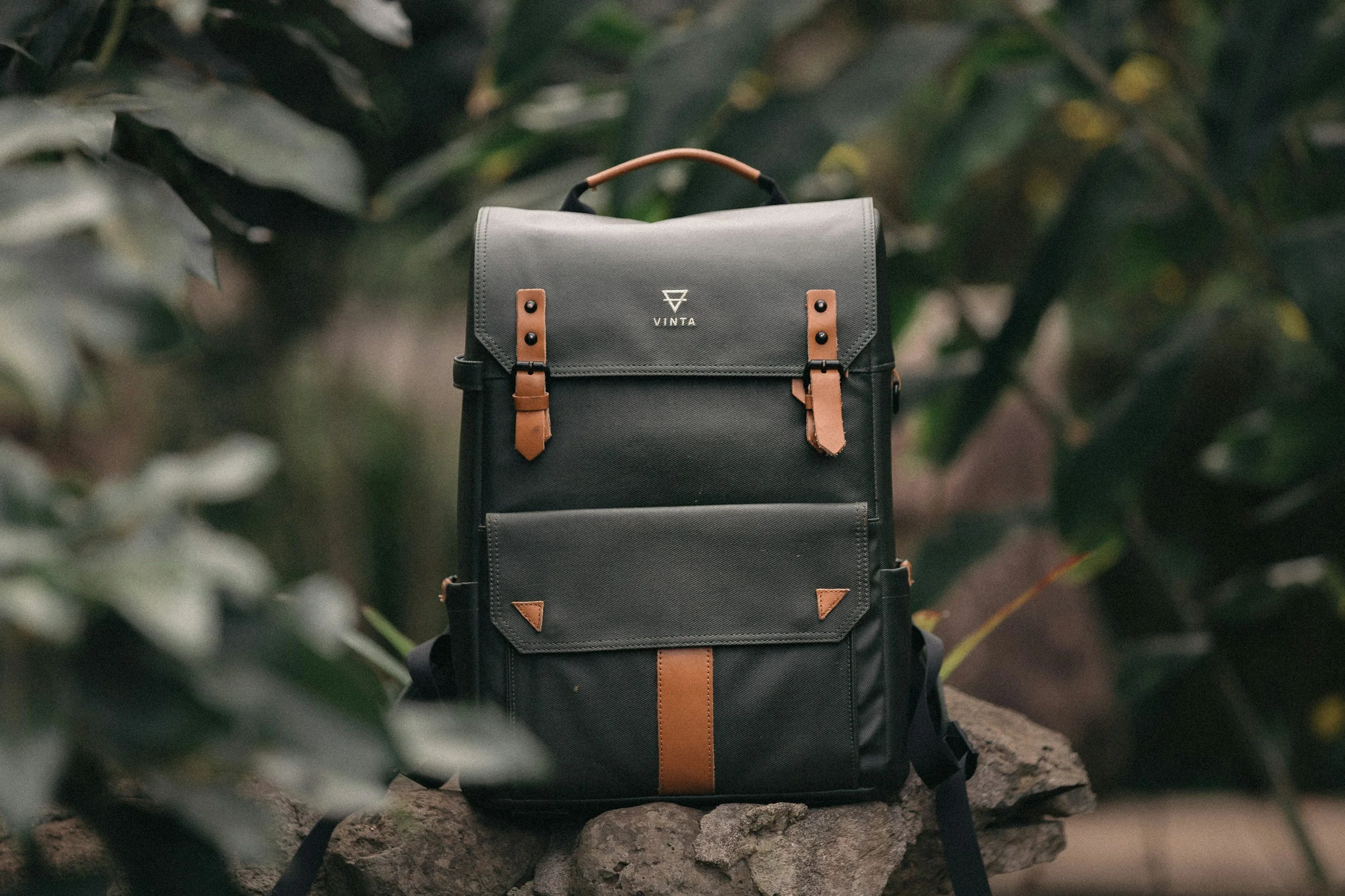 unsplash-image-BmH09wAkJa8.jpg