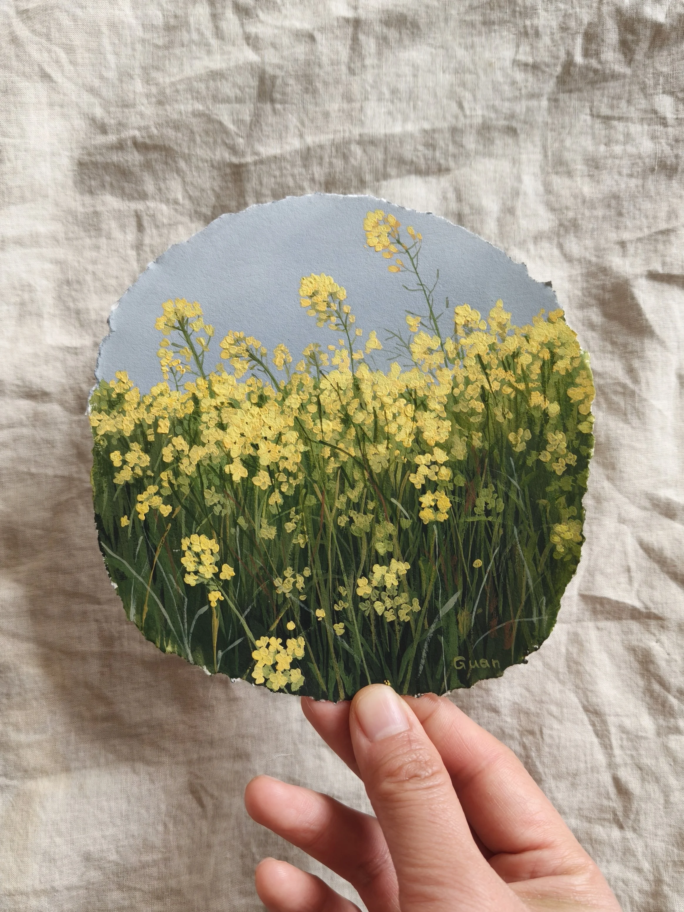 Rapeseed Flowers