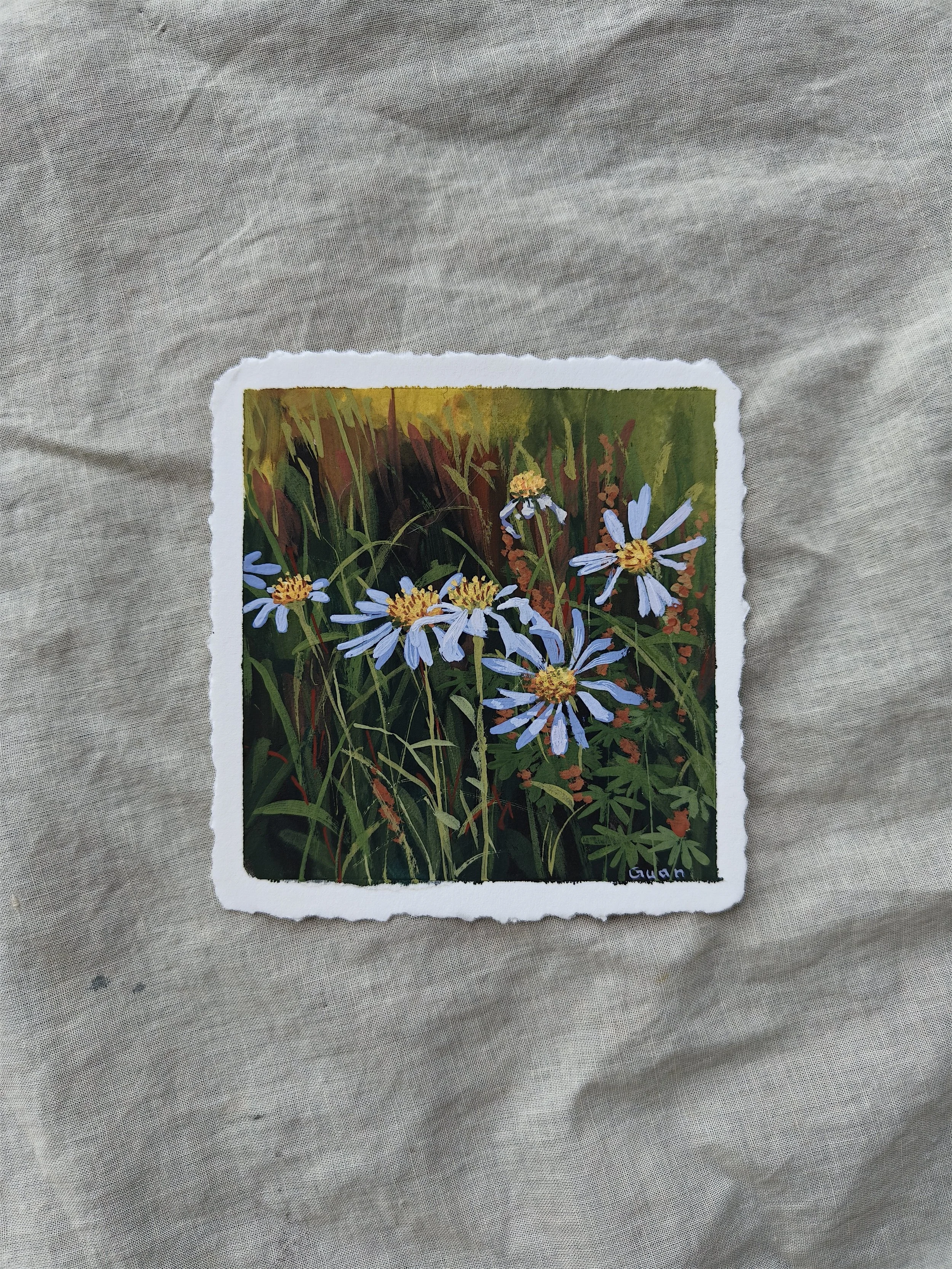 Aster 01