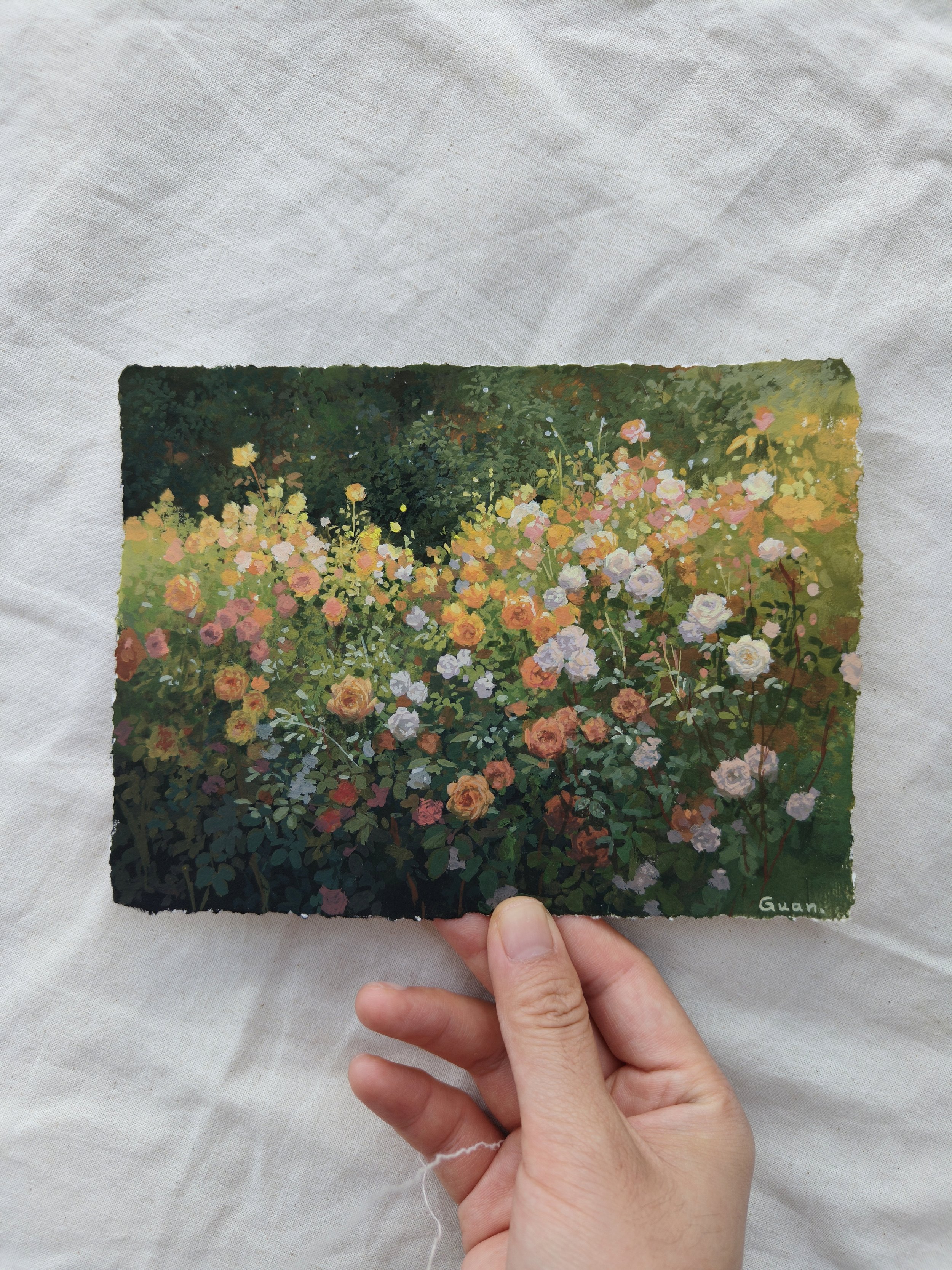 Rose 11