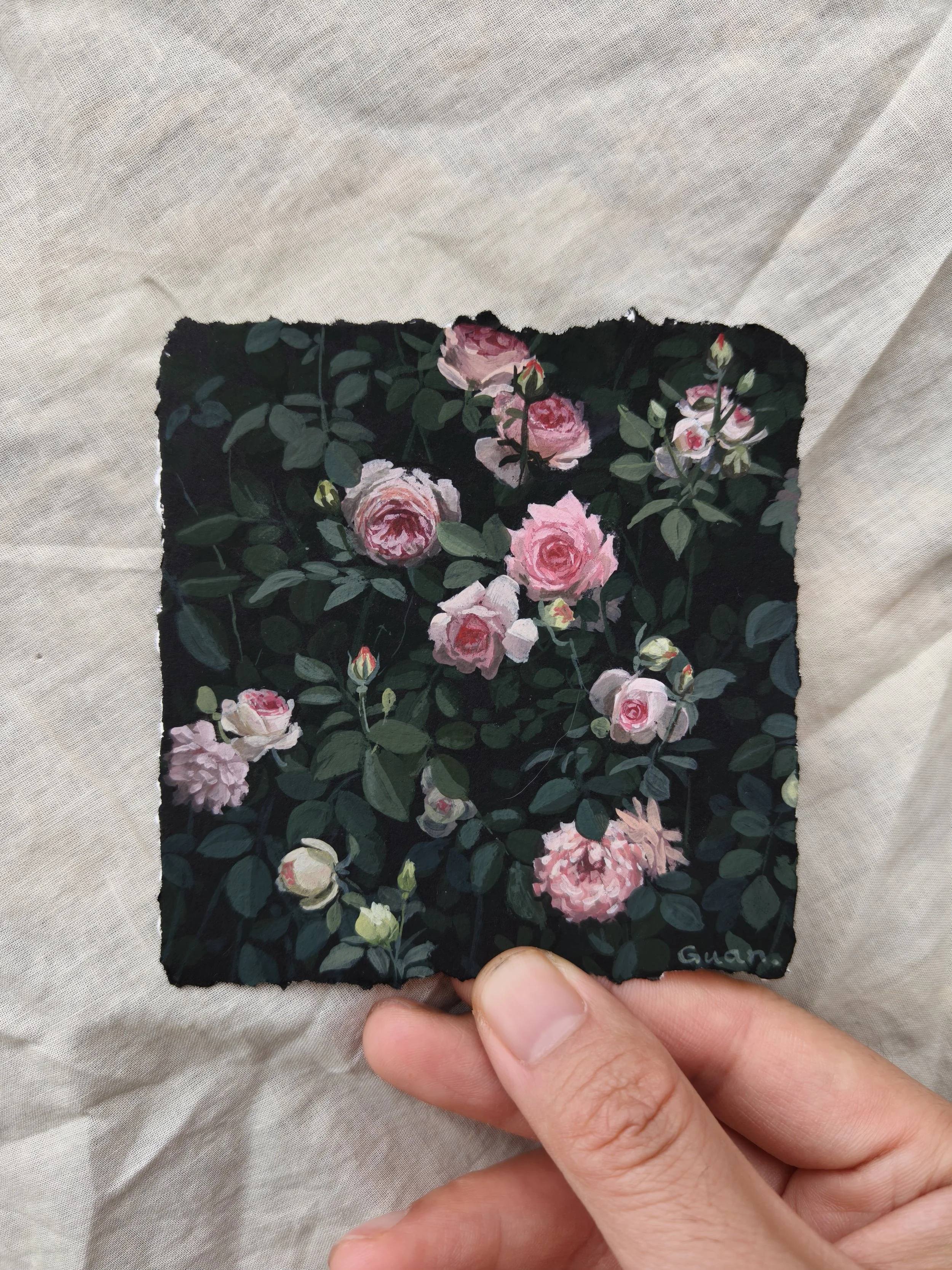 Rose 09