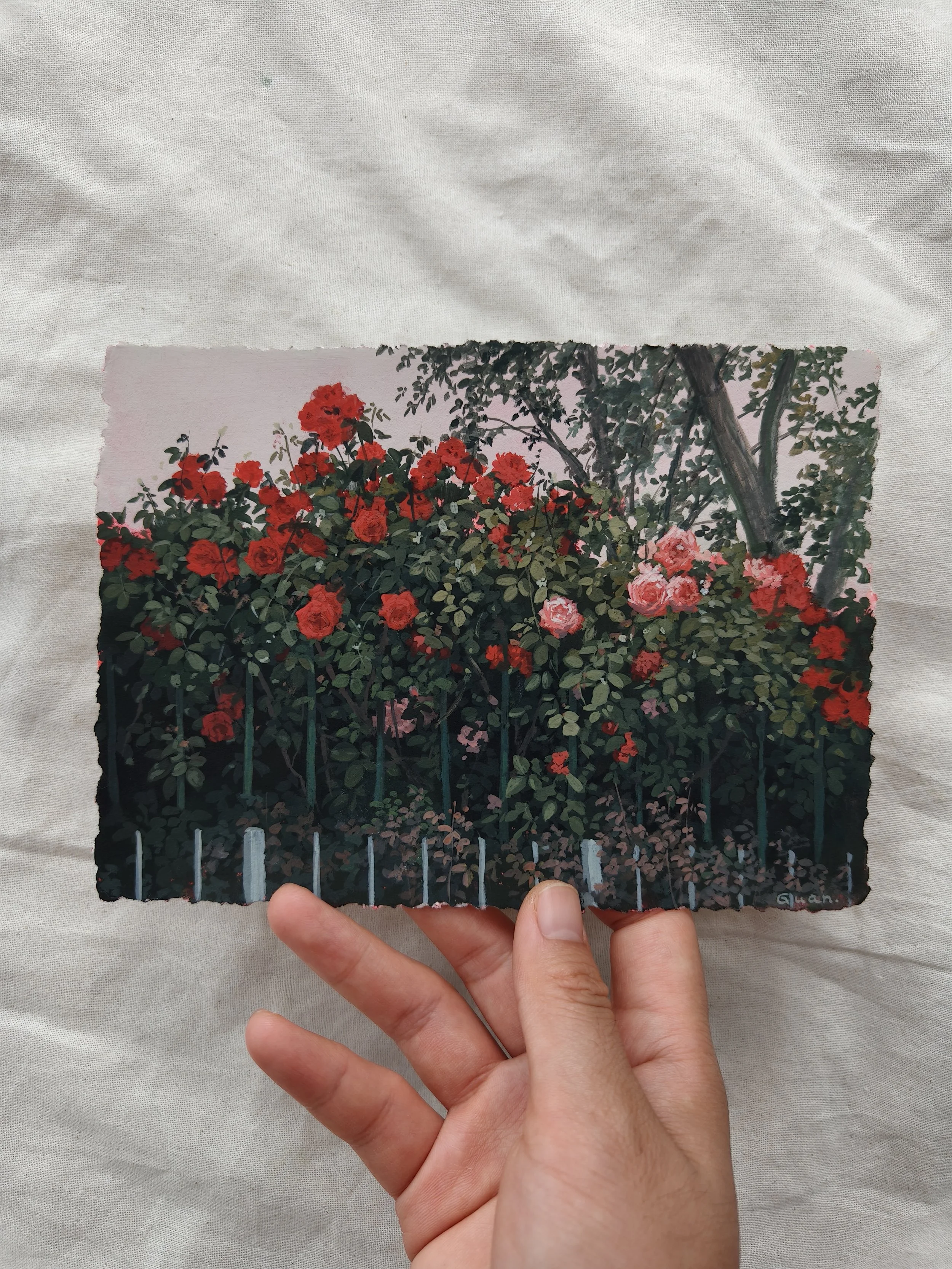 Rose 10