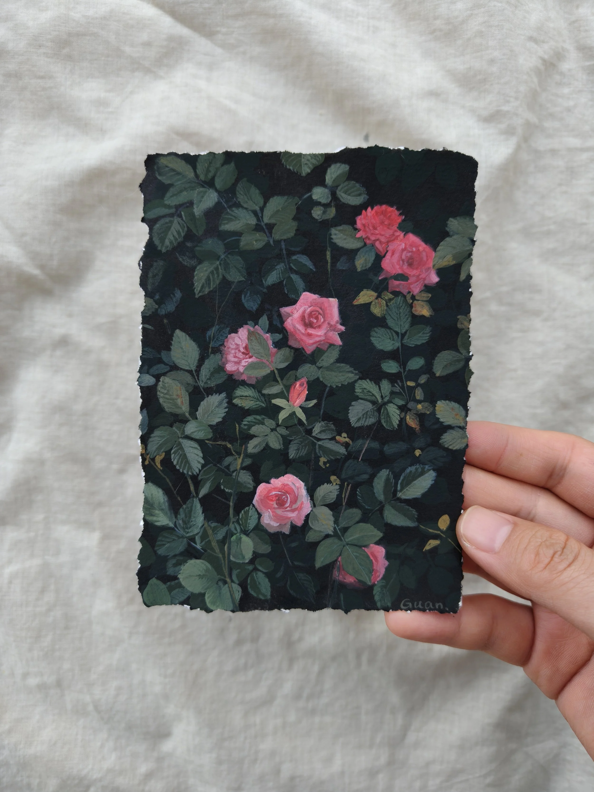 Rose 02