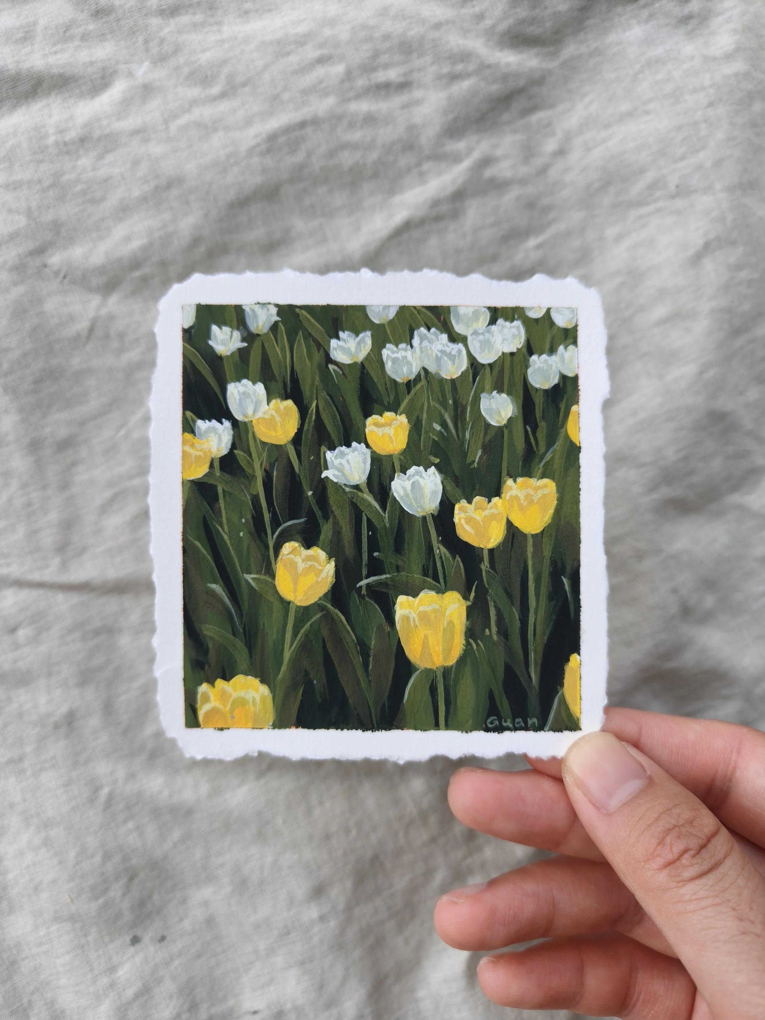 Tulips