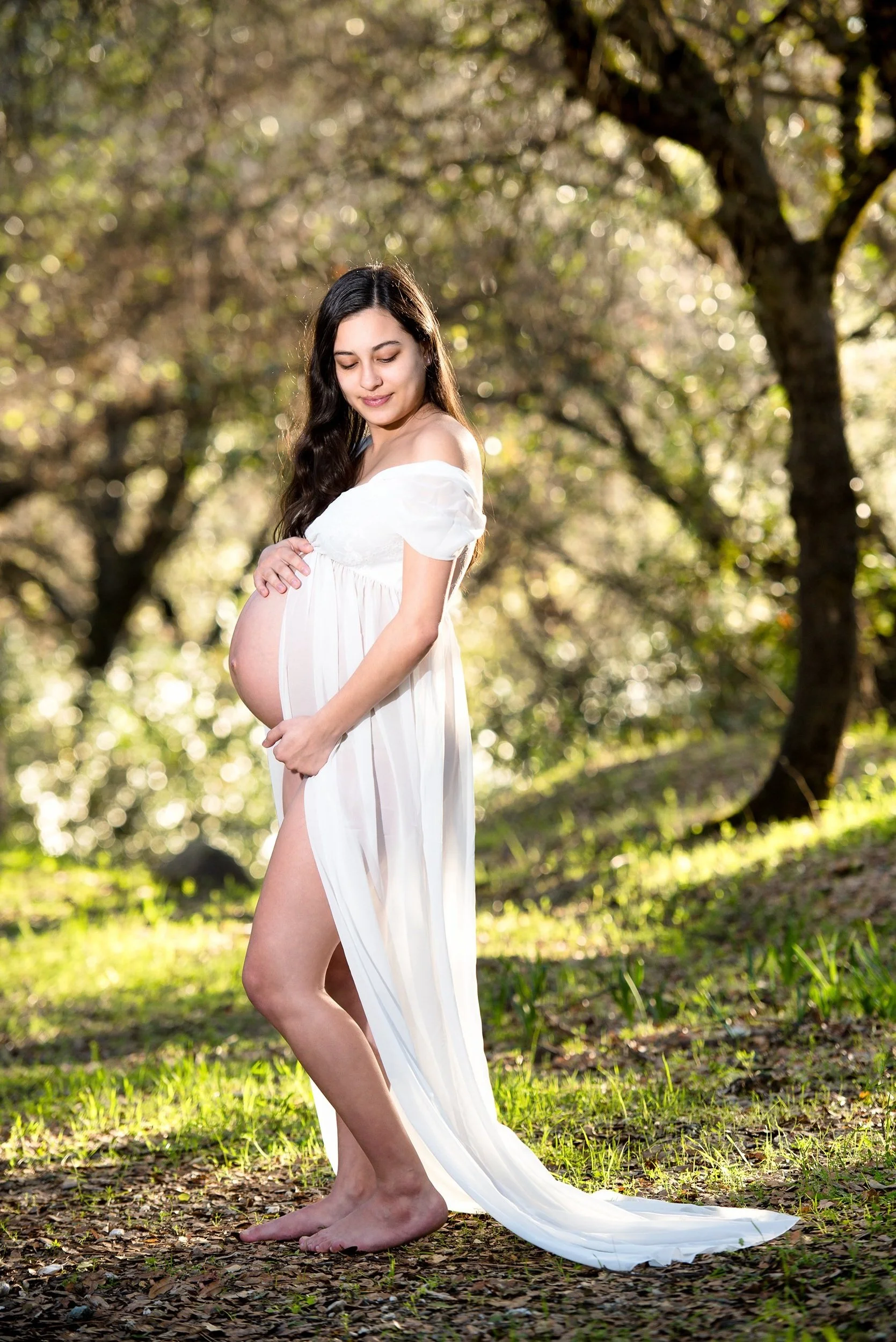 Maternity Portraits