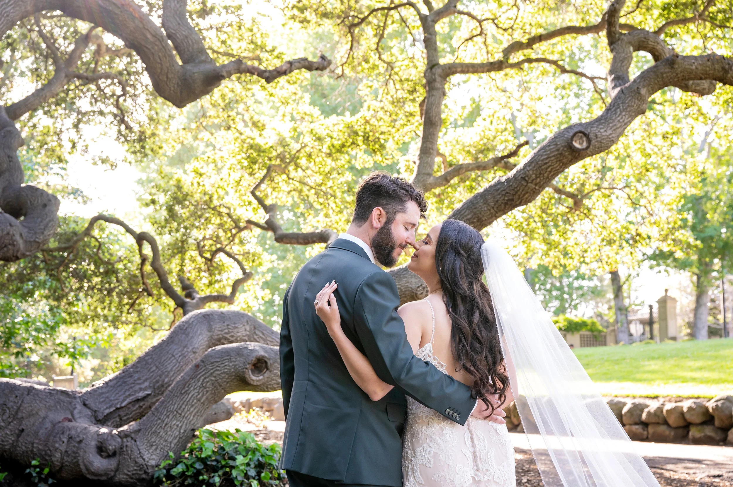 Bride and groom embracing under a large tree with sunlight filtering through the leaves.