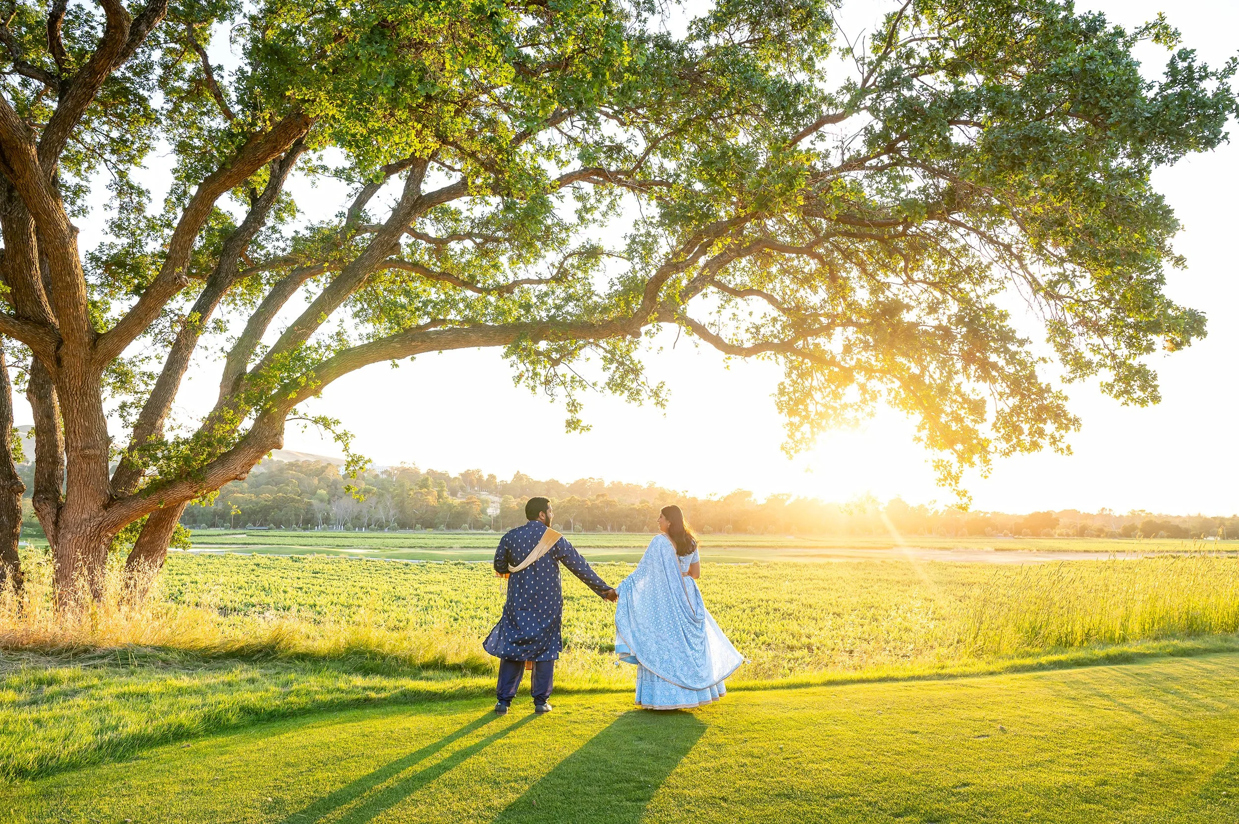 Napa Valley Wedding Photos