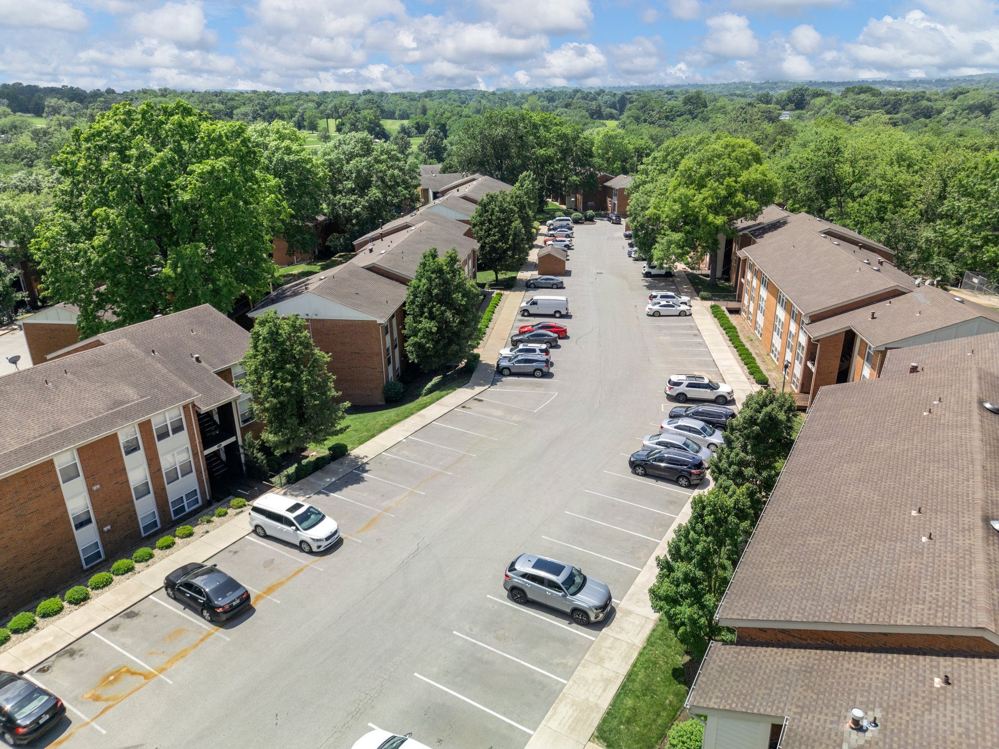 10-web-or-mls-DJI_0599.jpg