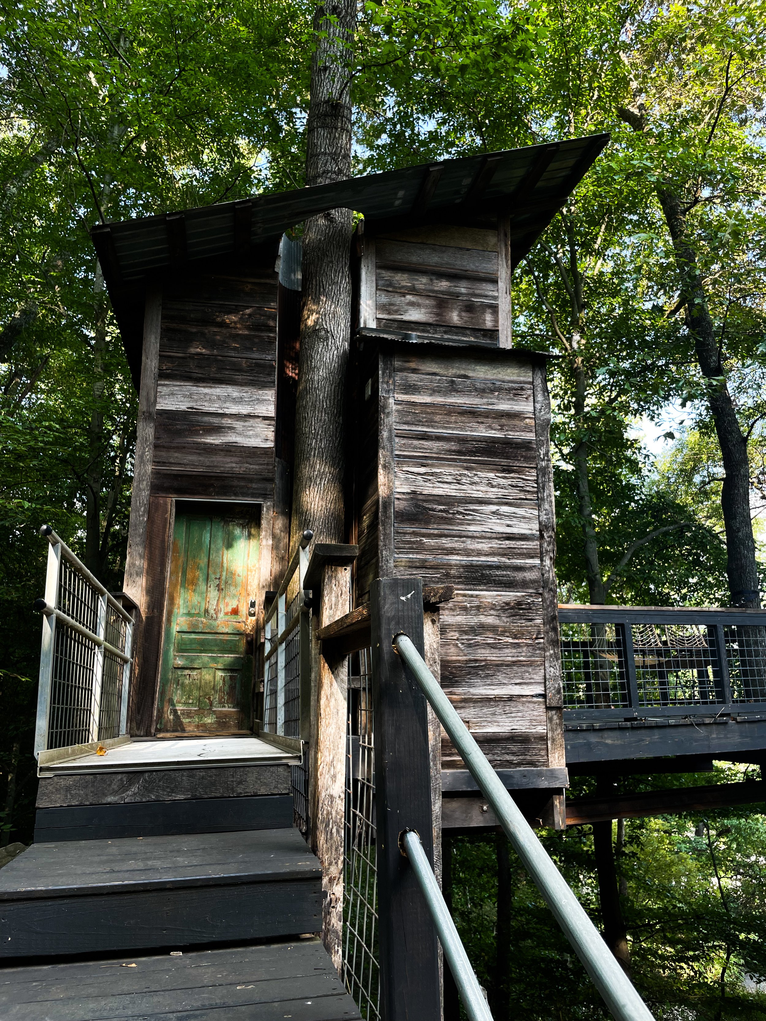 Treetop Hideaways: Lookout Mountain’s Eco-Friendly Escape