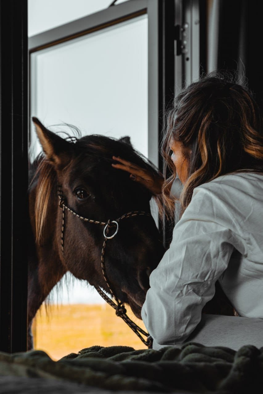 Mr. Iceland: An Unforgettable Viking Farm Stay in the Heart of Iceland