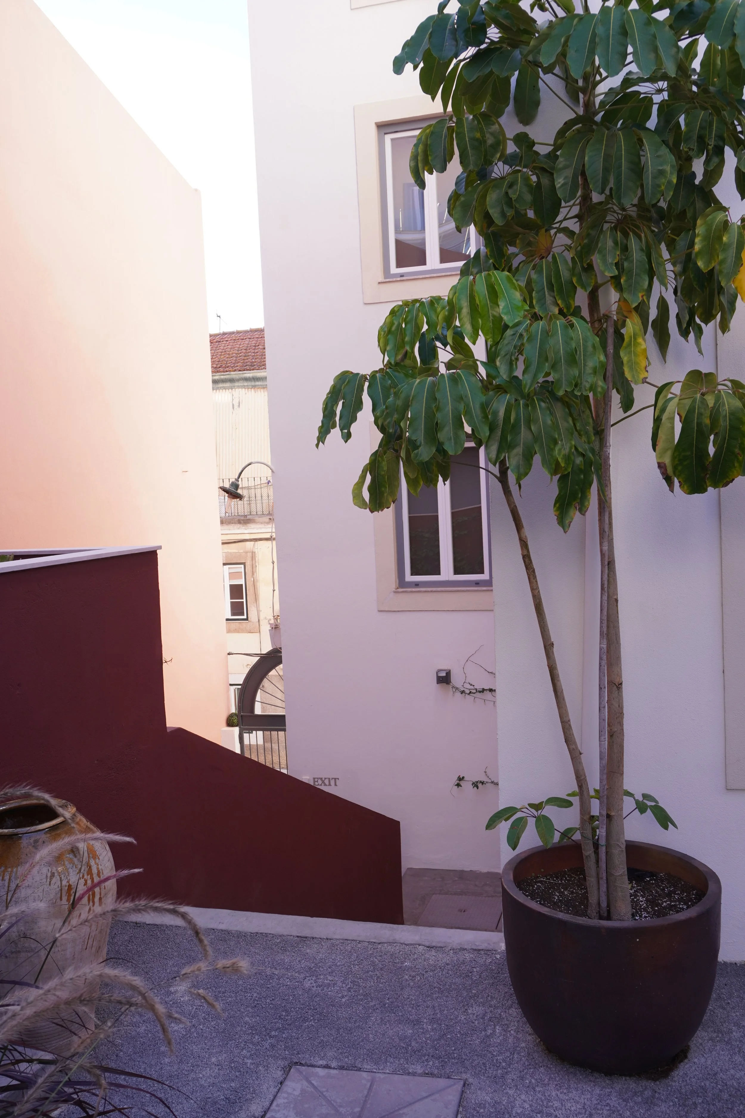 DSC03128.JPG