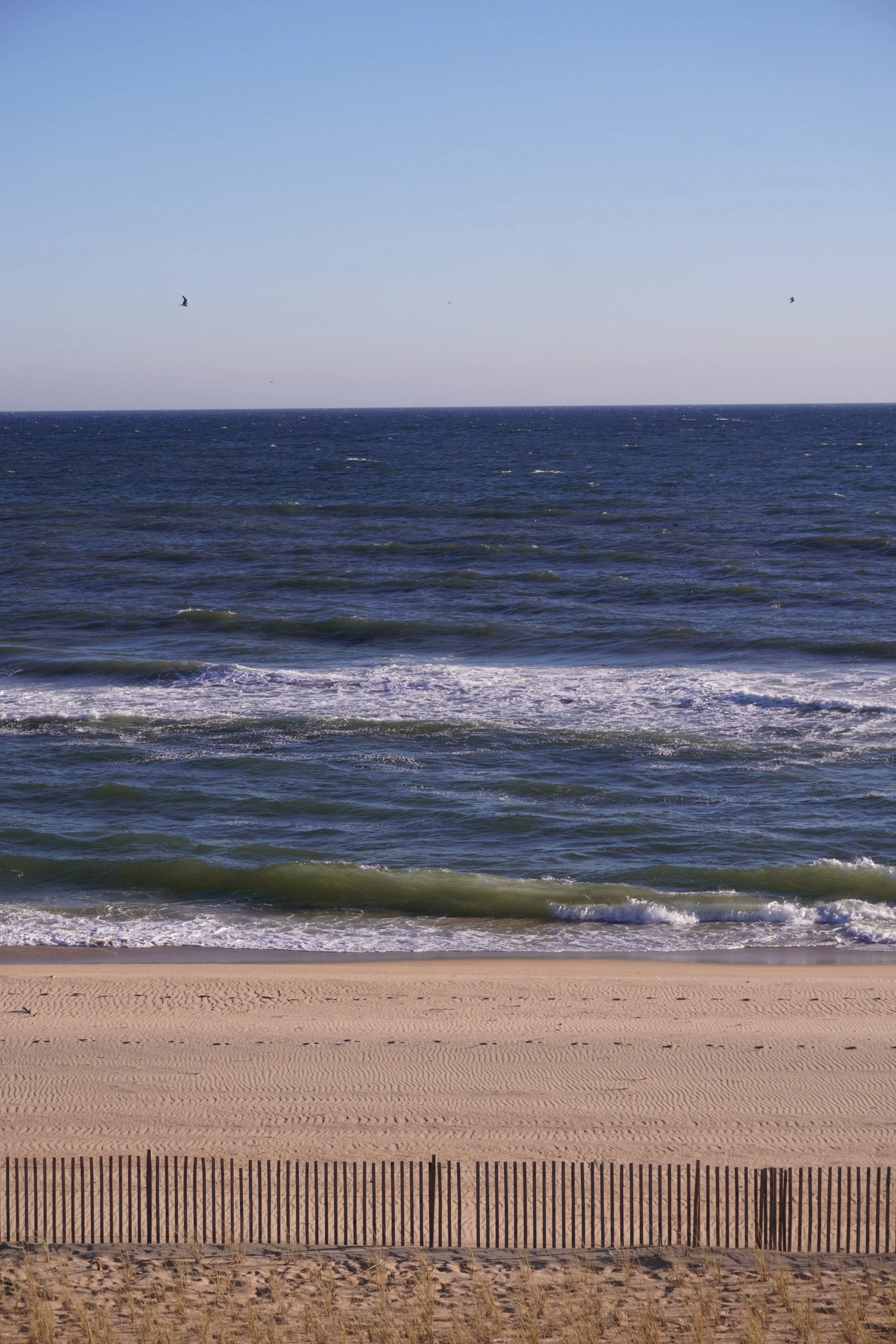 DSC03636JPG.jpg