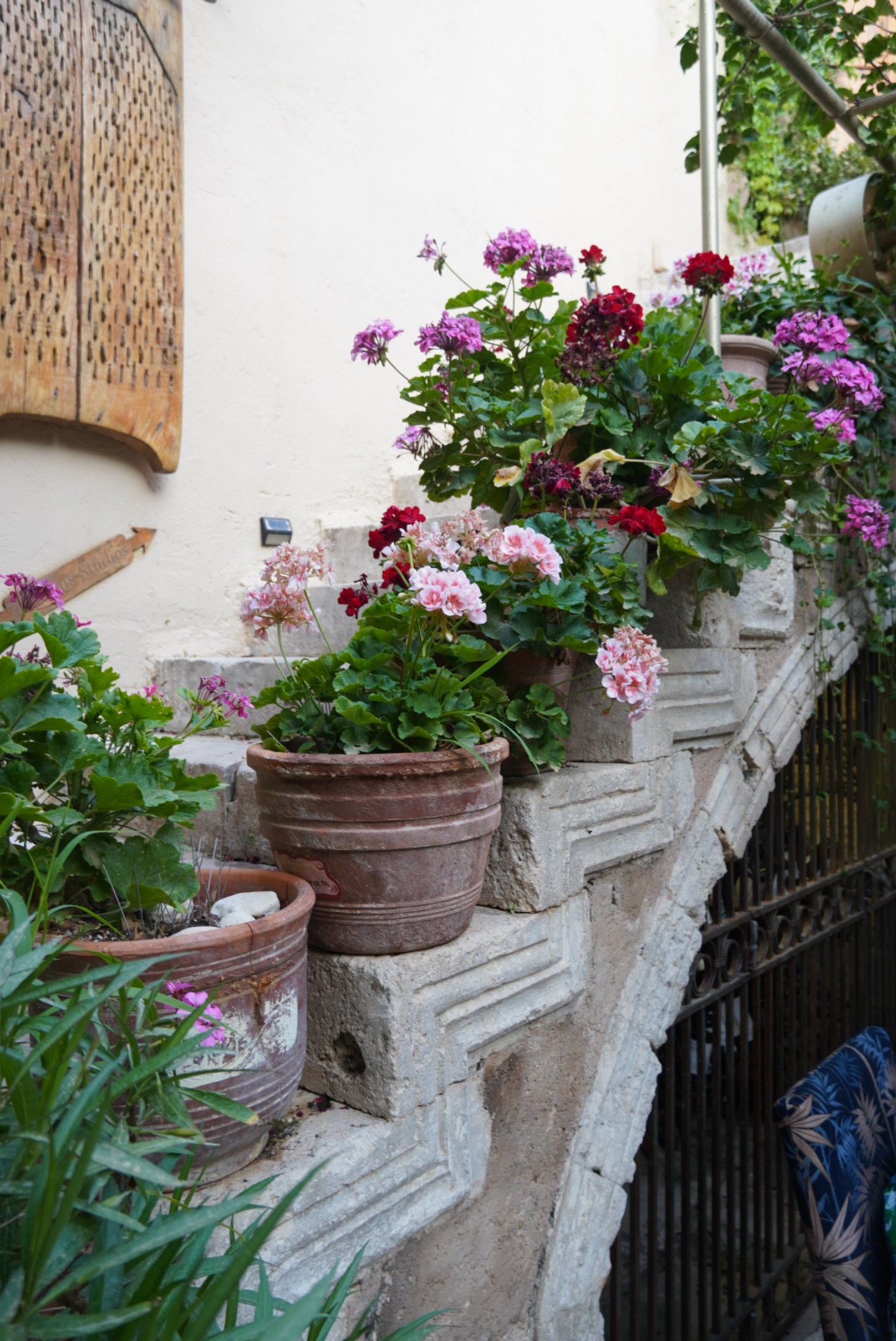 DSC03062.JPG