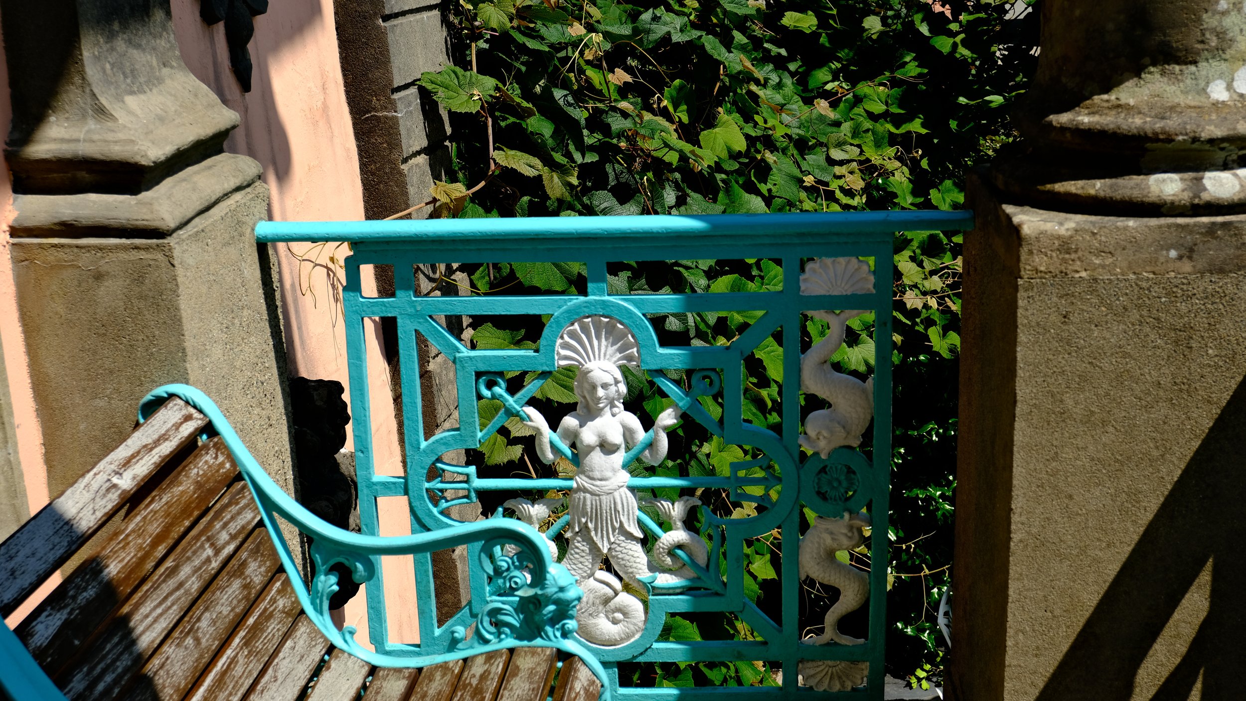 DSCF1267.jpg