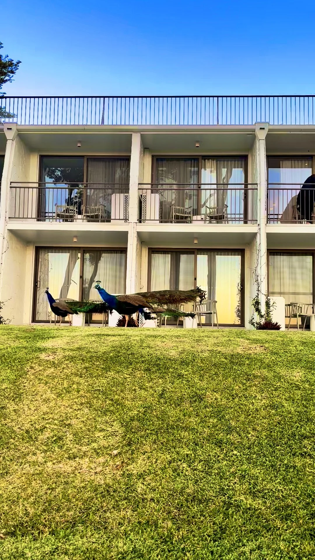 B06767C3-7590-4D9E-A831-6266C0574AE2_1_206_a (1).jpeg