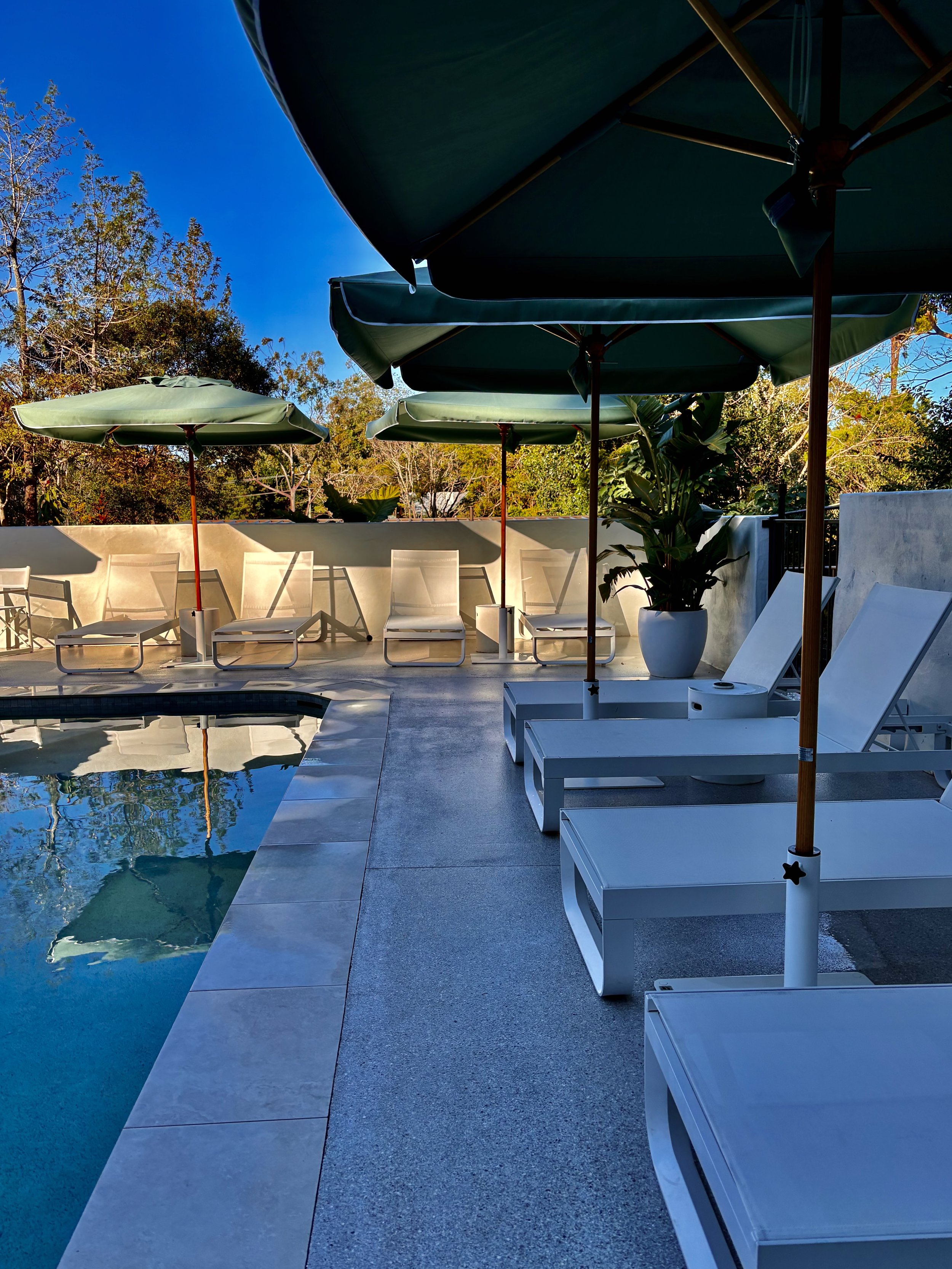 Umbrellas and Lounges.jpeg