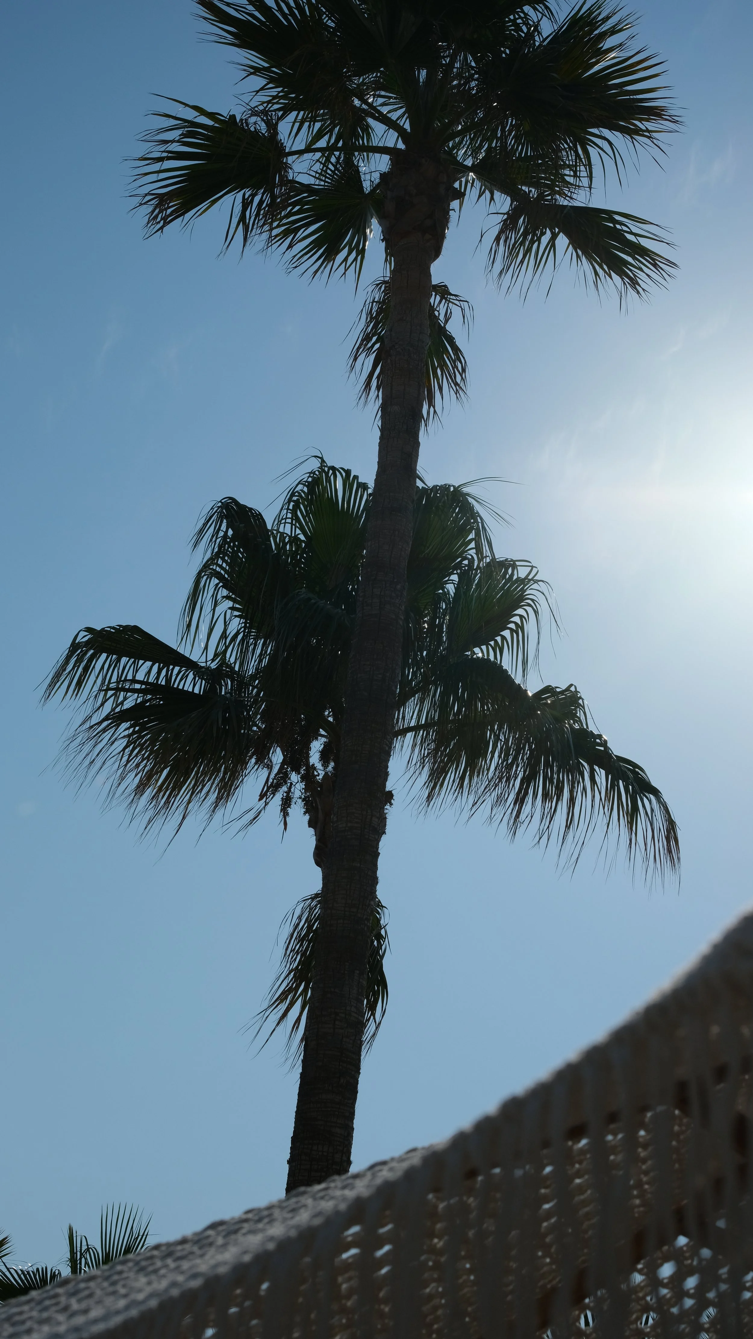 DSCF2587.jpg