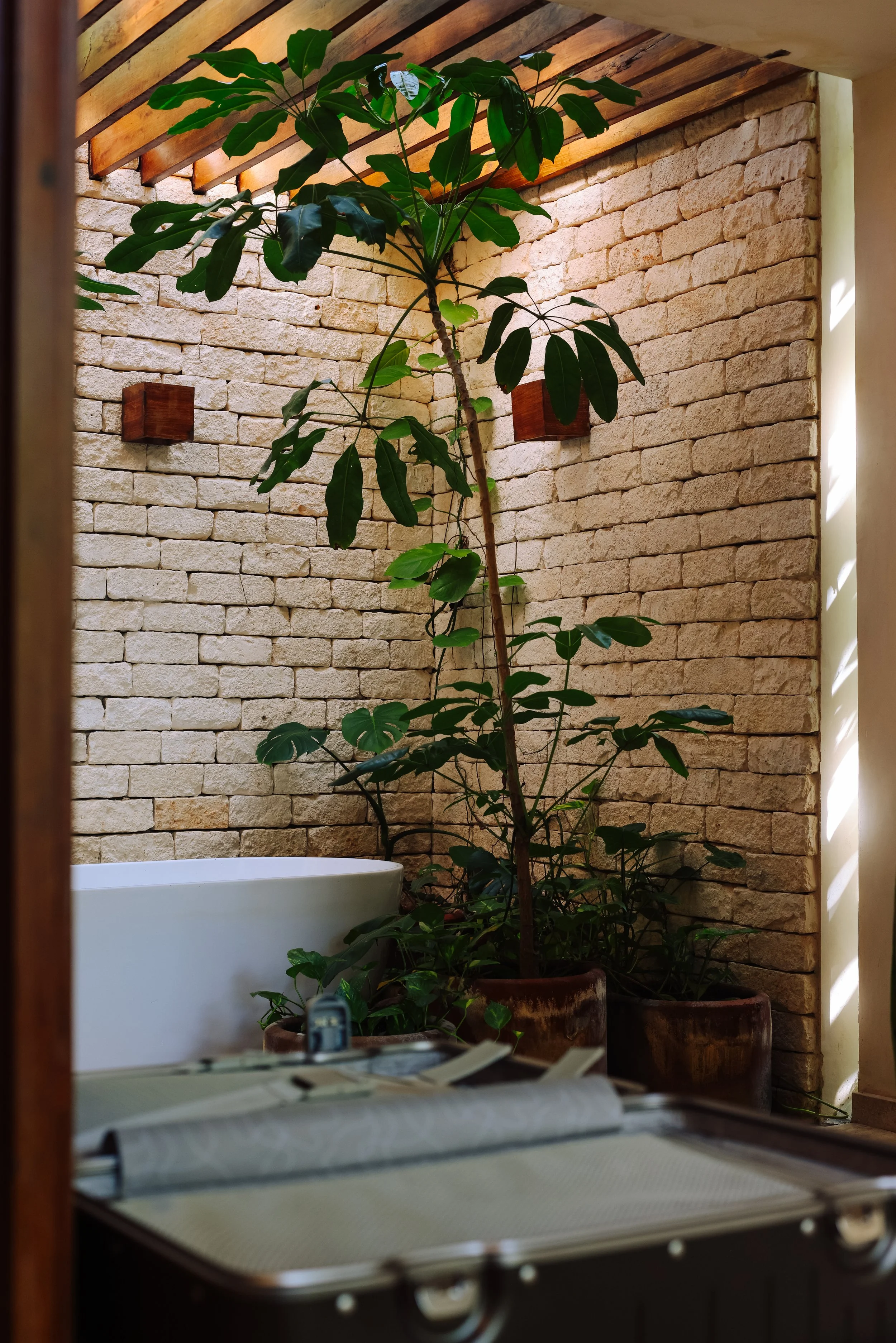 JungleVilla_DeborahKombe_BathroomView (1).jpg
