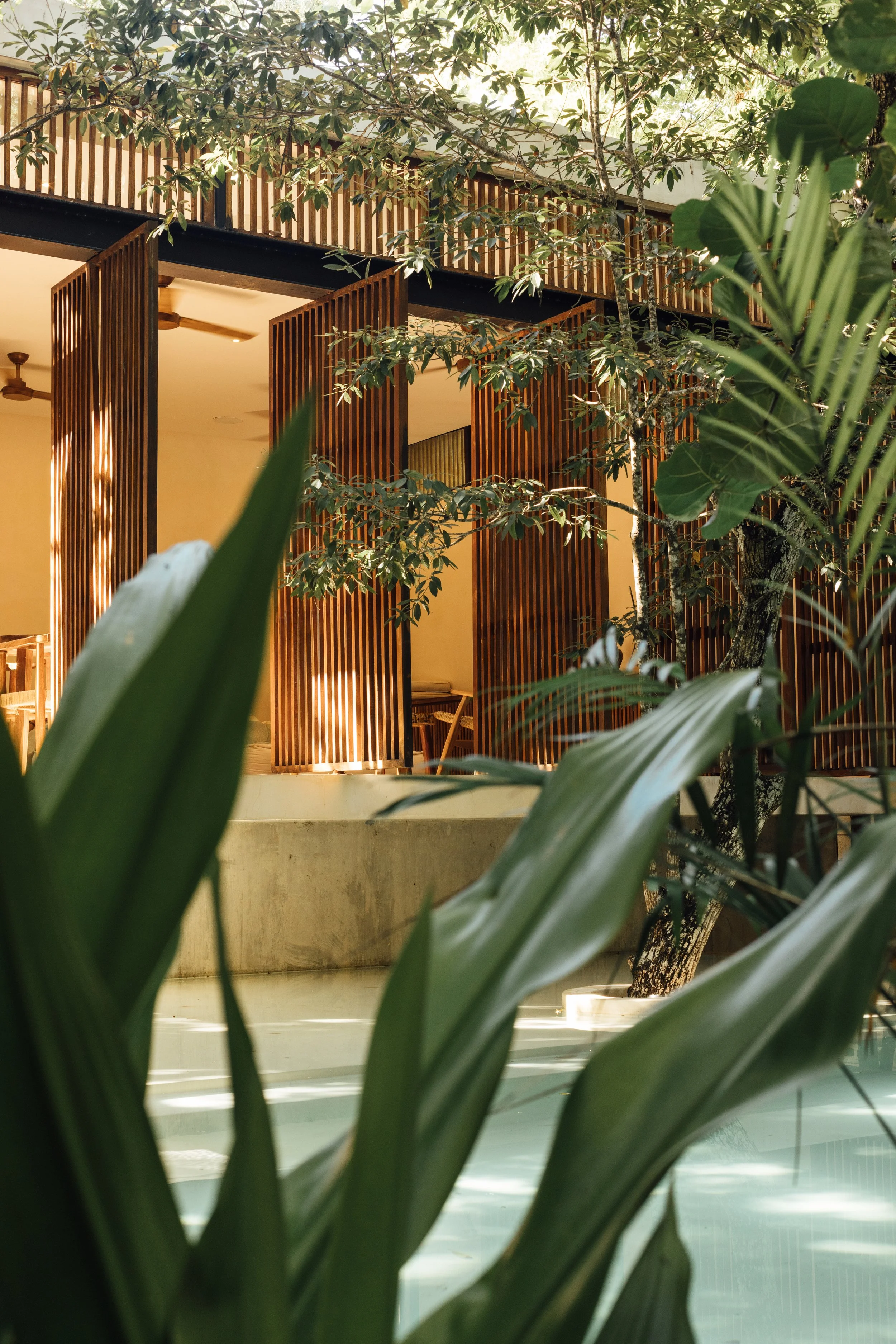 JungleVilla_DeborahKombe_Pooljpg (2).jpg